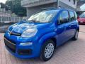 usato FIAT Panda