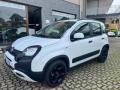usato FIAT Panda Cross