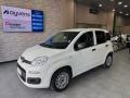 usato FIAT Panda