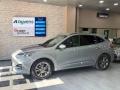 usato FORD Kuga
