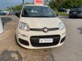 usato FIAT Panda
