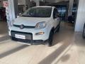 usato FIAT Panda