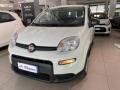 usato FIAT Panda
