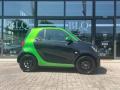 usato SMART ForTwo