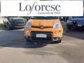 usato FIAT Panda