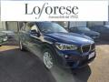 usato BMW X1