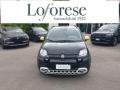 usato FIAT Panda Cross
