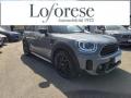 usato MINI Countryman