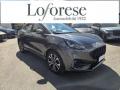 usato FORD Puma