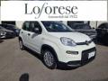 usato FIAT Panda