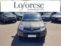 usato FIAT Panda