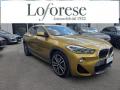 usato BMW X2