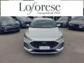 usato FORD Focus