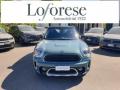 usato MINI Countryman