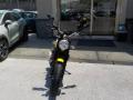 usato DUCATI Scrambler 800
