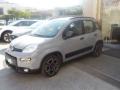 usato FIAT Panda