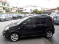 usato FIAT Panda