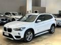 usato BMW X1