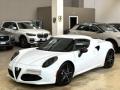usato ALFA ROMEO 4C