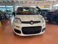 Km 0 FIAT Pandina