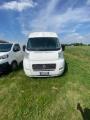 usato FIAT Ducato