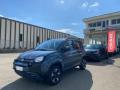 usato FIAT Panda Cross