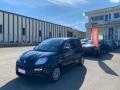 usato FIAT Panda