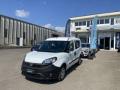 usato FIAT Doblo