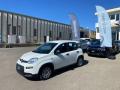 usato FIAT Panda