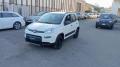 usato FIAT Panda