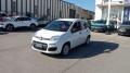 usato FIAT Panda