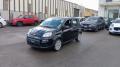 usato FIAT Panda