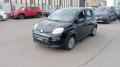 usato FIAT Panda