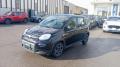 usato FIAT Panda