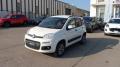 usato FIAT Panda