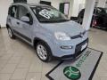 usato FIAT Panda