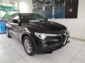 usato ALFA ROMEO Stelvio