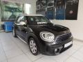 usato MINI Countryman
