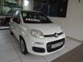 usato FIAT Panda