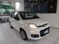 usato FIAT Panda