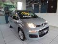 usato FIAT Panda