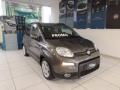 usato FIAT Panda