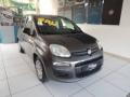 usato FIAT Panda