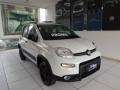 usato FIAT Panda
