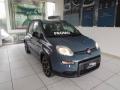 usato FIAT Panda