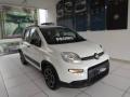 usato FIAT Panda