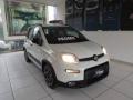 usato FIAT Panda