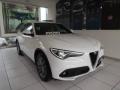 usato ALFA ROMEO Stelvio