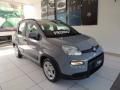 usato FIAT Panda