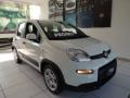 usato FIAT Panda